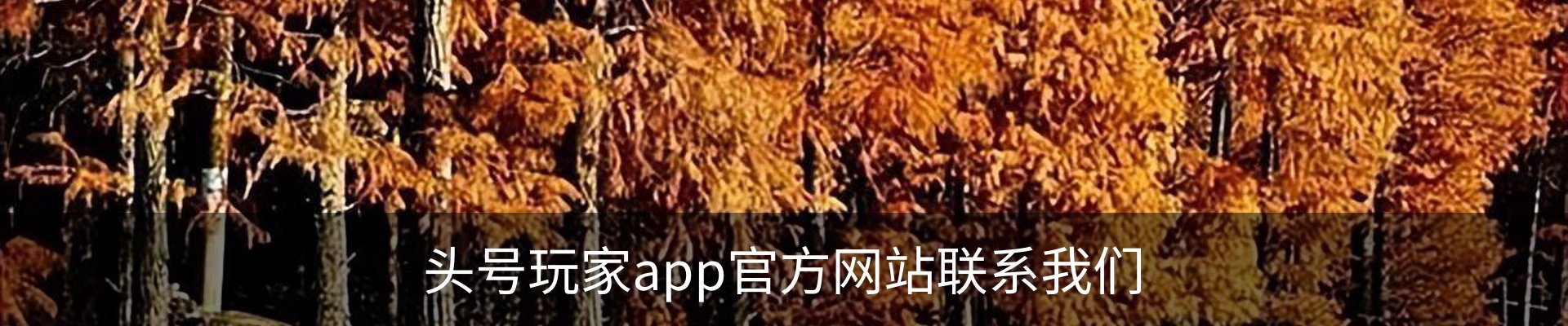 头号玩家app官方网站联系我们